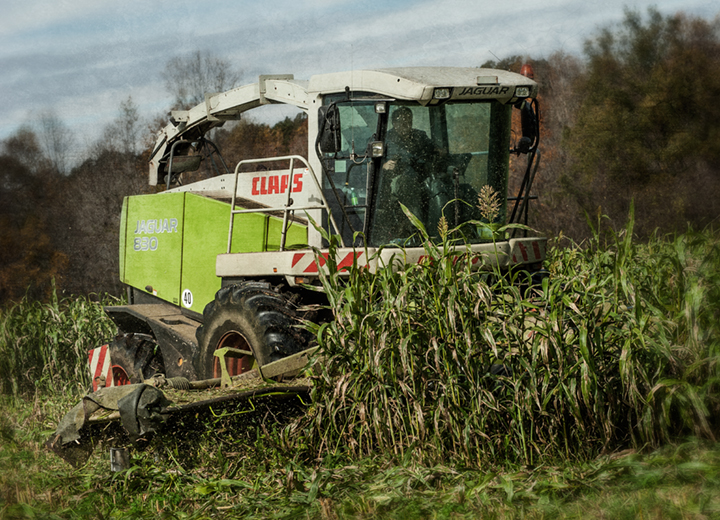 Dan Routh Photography Late Season Silage