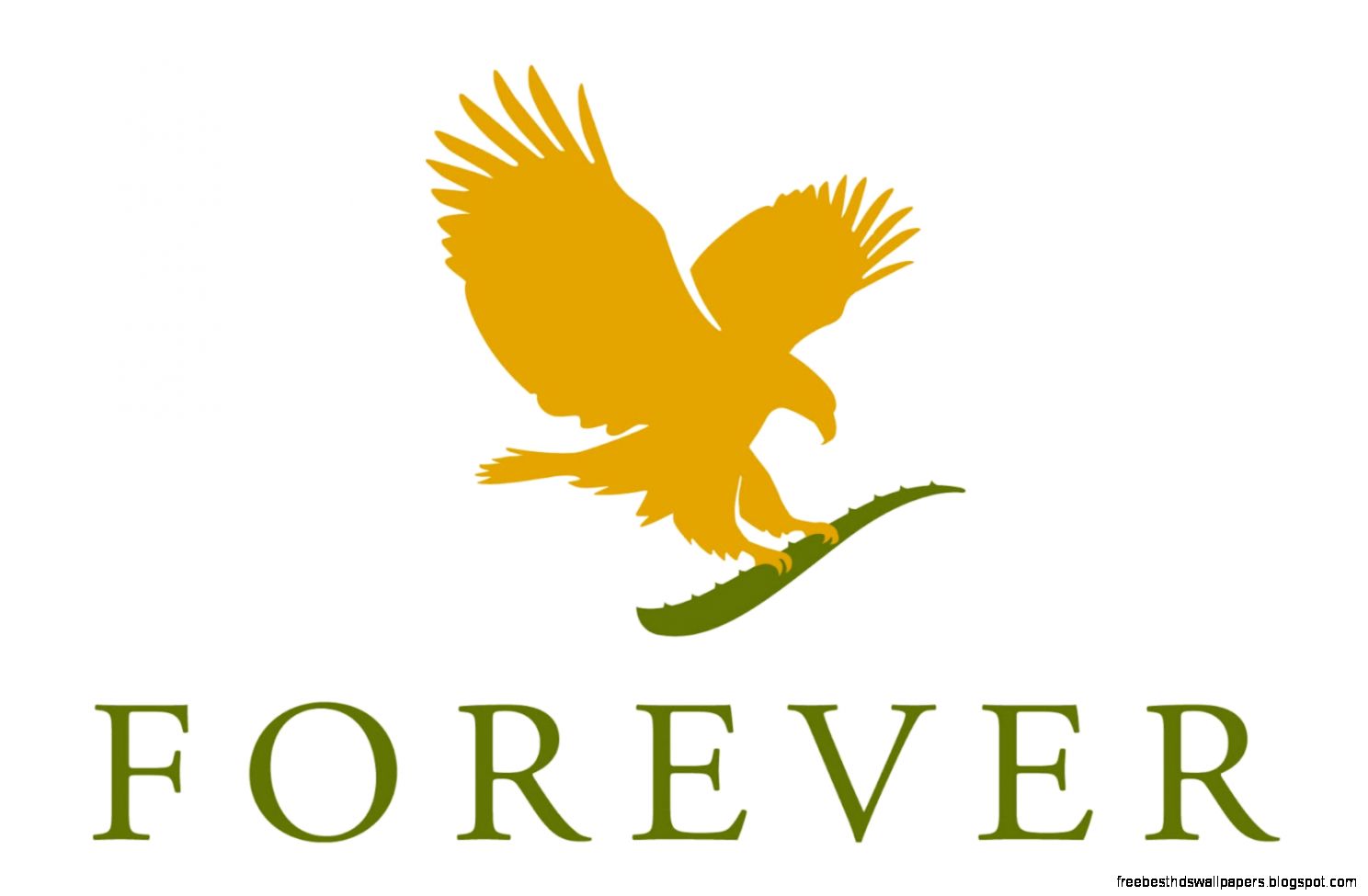 Clean 9 FAQ Forever Fit Clean 9 Clean 9 FAQ Forever Fit Clean 9
