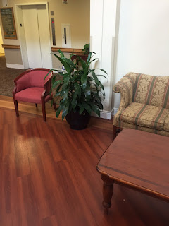 interior plant care and weekly maintenance;lobby area;plant design and care;