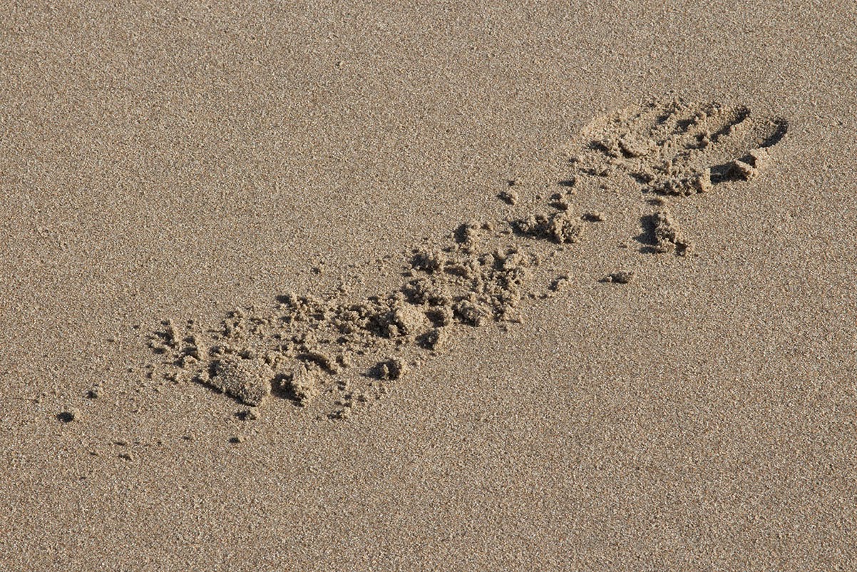 dragging footstep in sand