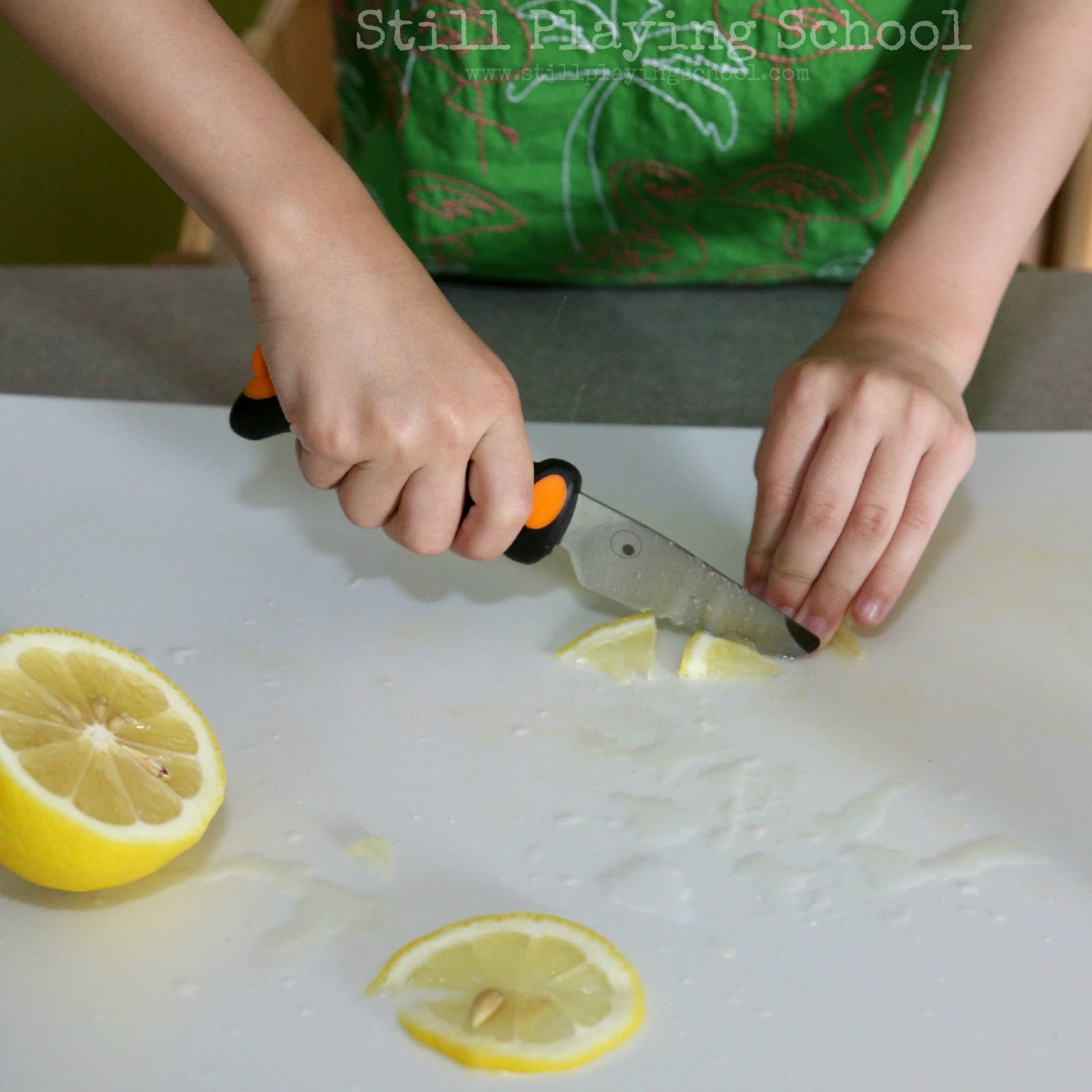 Lemon Ginger Ice Cubes for Refreshing Infused Water Still Playing School
