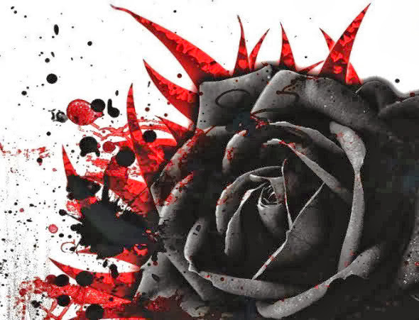 Beautiful Black Rose Wallpapers Free Download