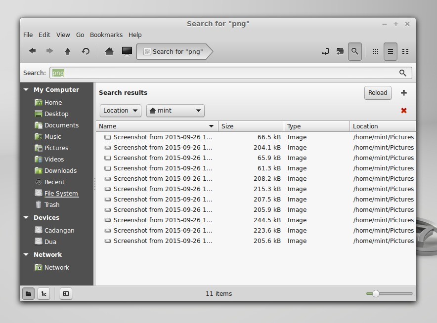 Basic Guide for Linux Mint Cinnamon File Manager (Nemo)