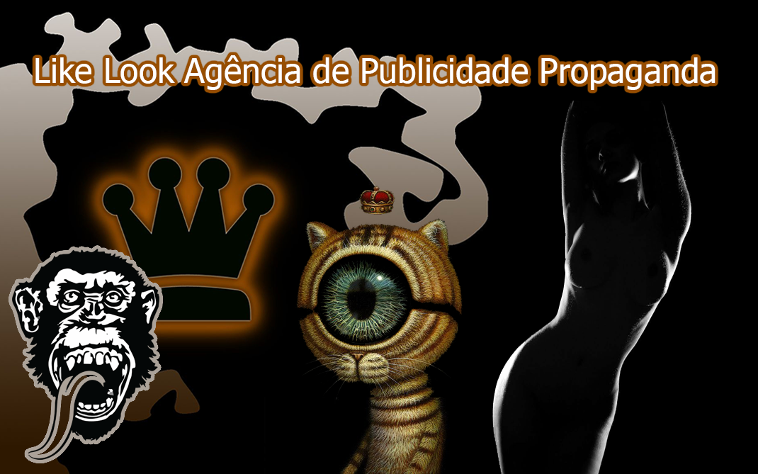 Like Look Agencia de Publicidade Propaganda e Modelos 