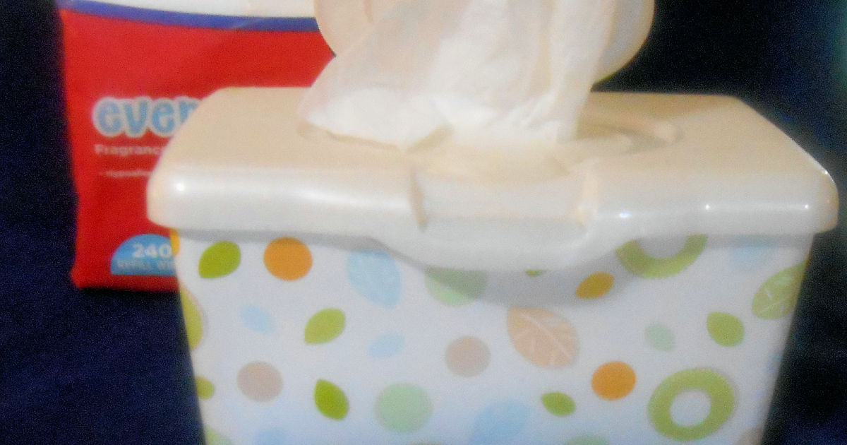 GIFTS THAT SAY WOW Fun Crafts and Gift Ideas 15 Great Tips and Tricks Using Baby Wipes