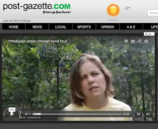 Screenshot from Post Gazette interview about Chicken Coop Tour in Pittsburgh