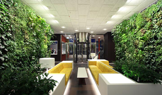 9 lindos jardins verticais de interior