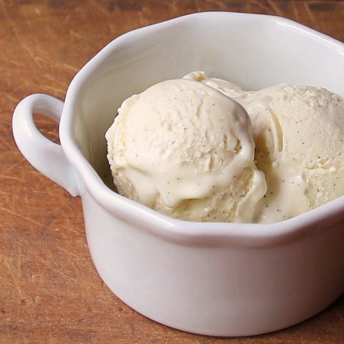 Cookistry Rich French Vanilla Bean Ice Cream