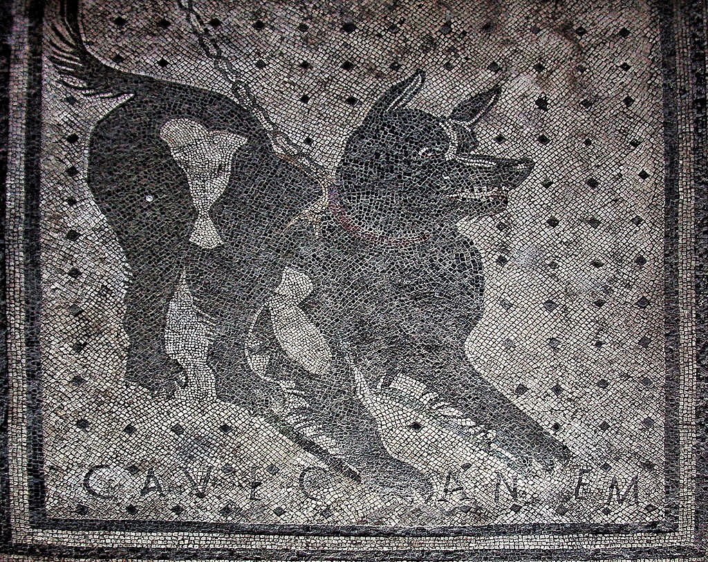 Roman Times The House of the Tragic Poet What's love got to do with it?