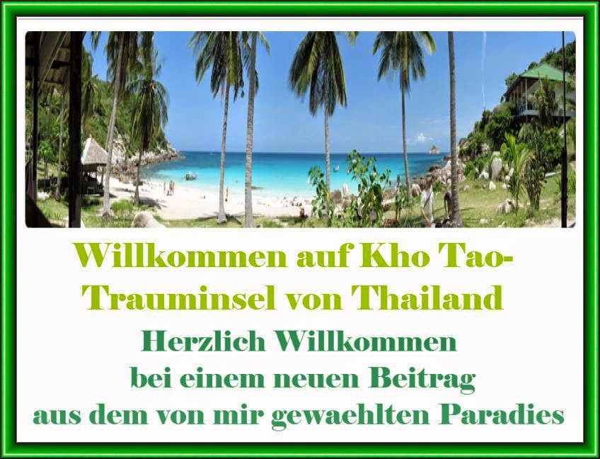 Why Chiang Mai Is A Great Place To Work For Digital Nomads