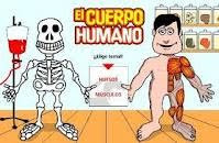 El cuerpo humano