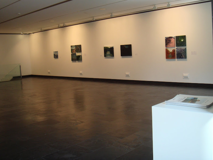 Centro Cultura Cajastur Alonso Nart, exposición de María Jesús Rivero