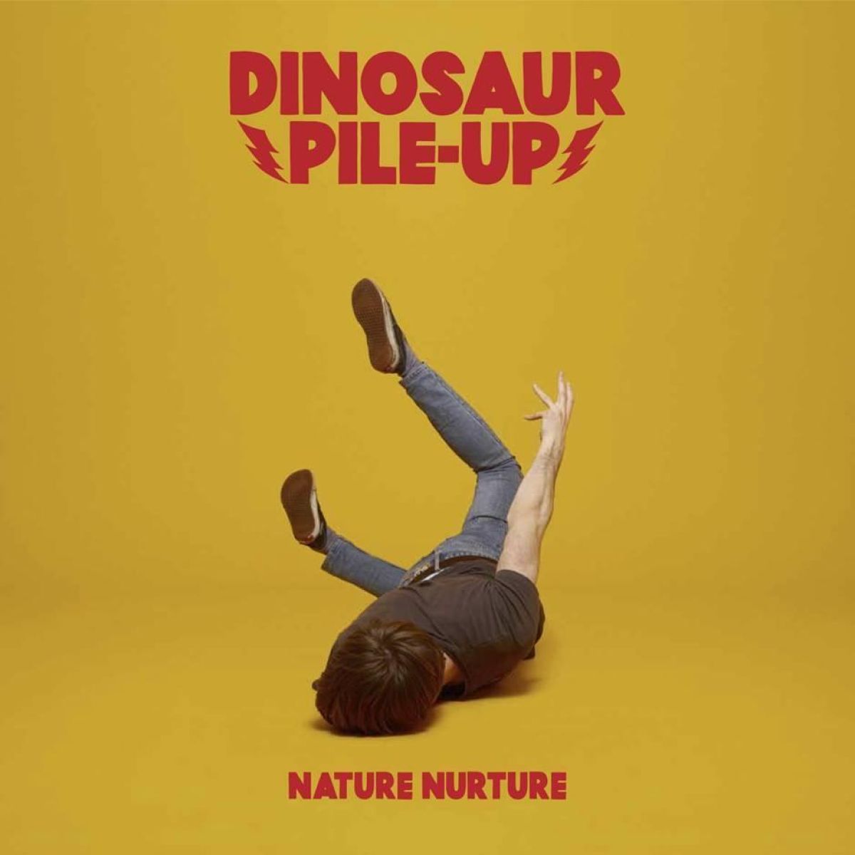 Espaces Magnétiques Dinosaur PileUp (RoyaumeUni) Nature Nurture