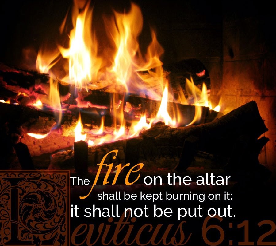 Allacin's Illustrated Summaries of Christian Classics LEVITICUS+—An