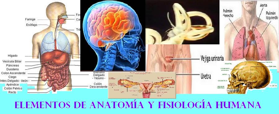 Elementos de Anatomía y Fisiología Humana