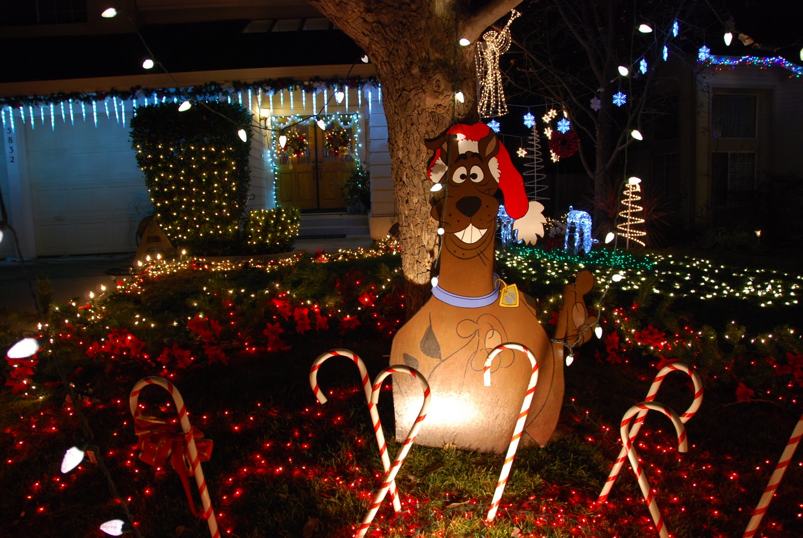 All Things Elise & Alina Rocklin Christmas Lights at Pebble Creek and Strand Drive 2011