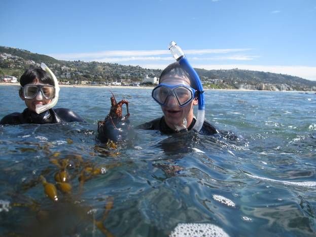 Meaning Of Snorkeling