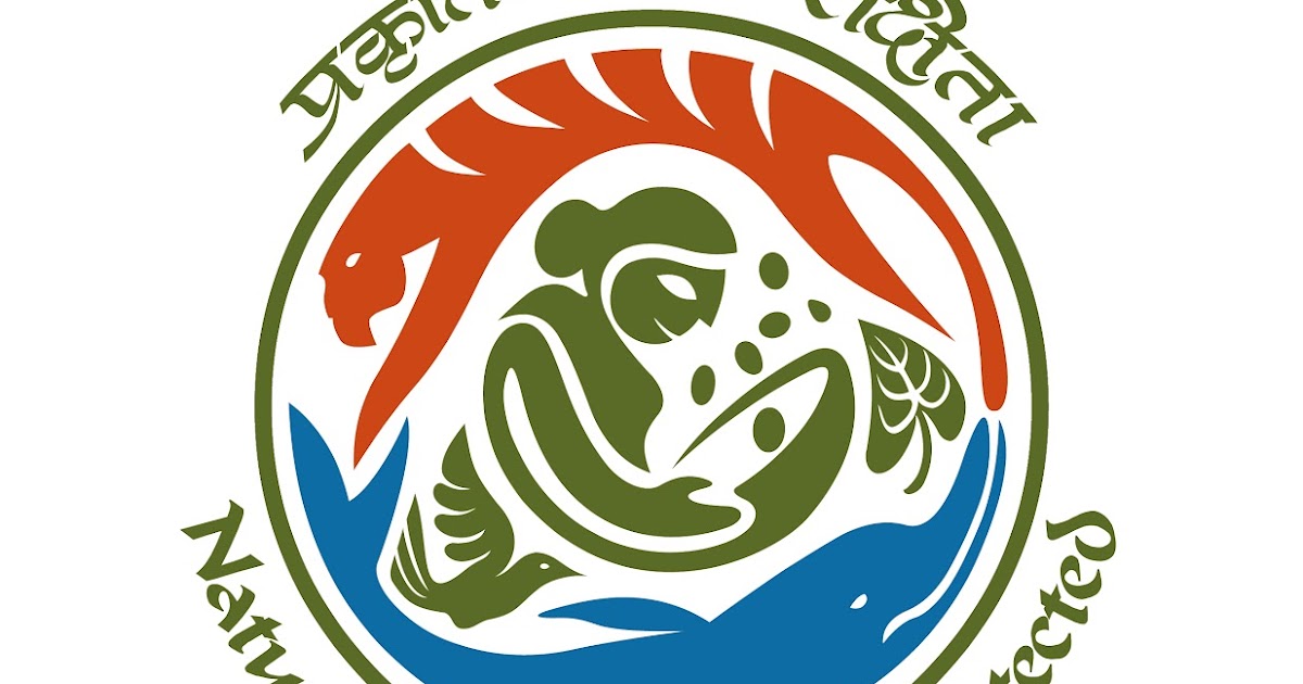 Nature protects if she is protected essay image