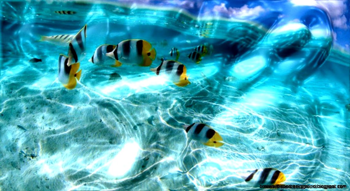3D Moving Backgrounds For Pc Wallpaper Best Wallpaper Background 3D Moving Backgrounds For Pc Wallpaper Best Wallpaper Background