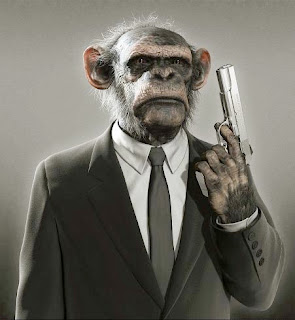 Funny Monkeys With Gun