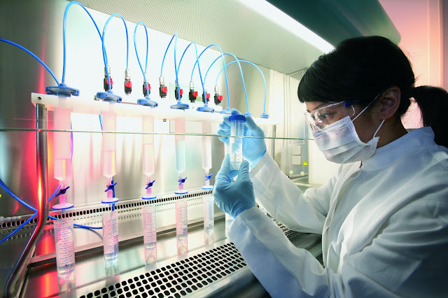 INTRODUCCION TRABAJO CIENTIFICO BIOLOGIA introduccion trabajo cientifico biologia: