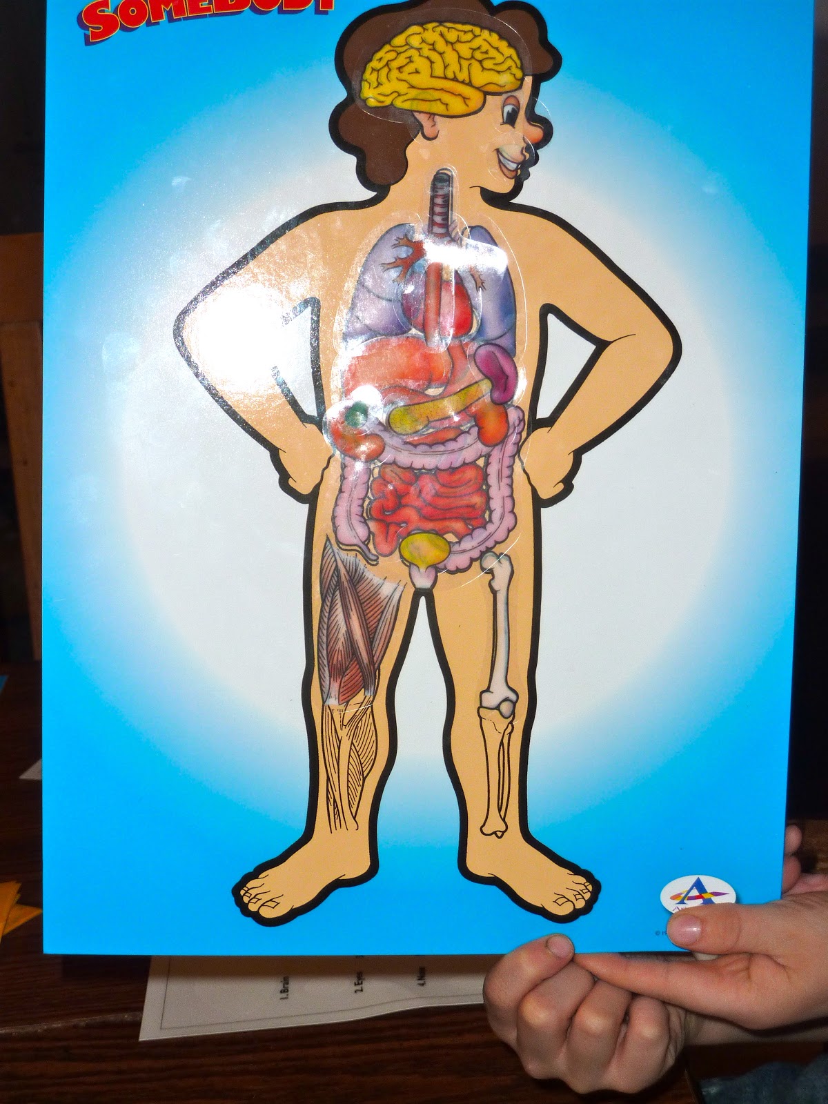 Human Body Games Some Body