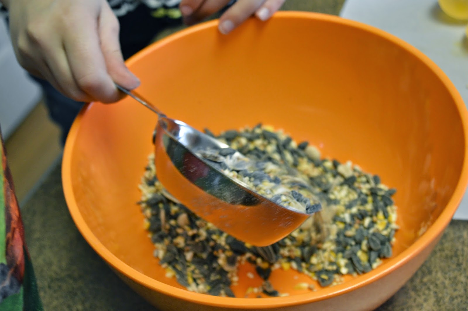 From Scratch These Eggs are for the Birds!