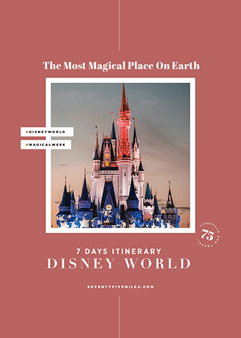 DISNEY WORLD - SEVEN DAYS ITINERARY