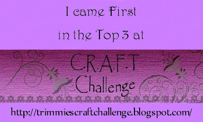 C.R.A.F.T. Challenge