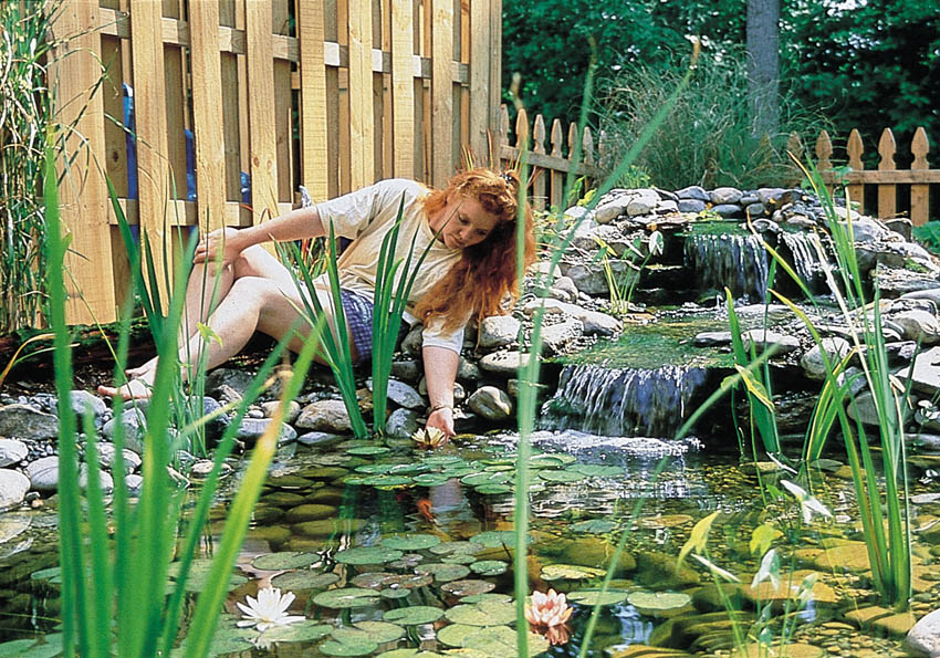 Aquascape Your Landscape: We Have a Water Garden Book Winner!