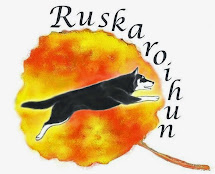 Ruskaroihun