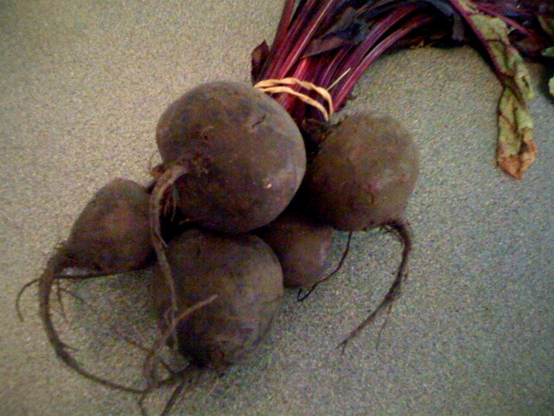 Good gobble! Houmous Fritters with Roast Beetroot and Goat's Cheese dip