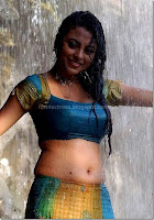Actress, meenakshi, wet, , navel, pictures