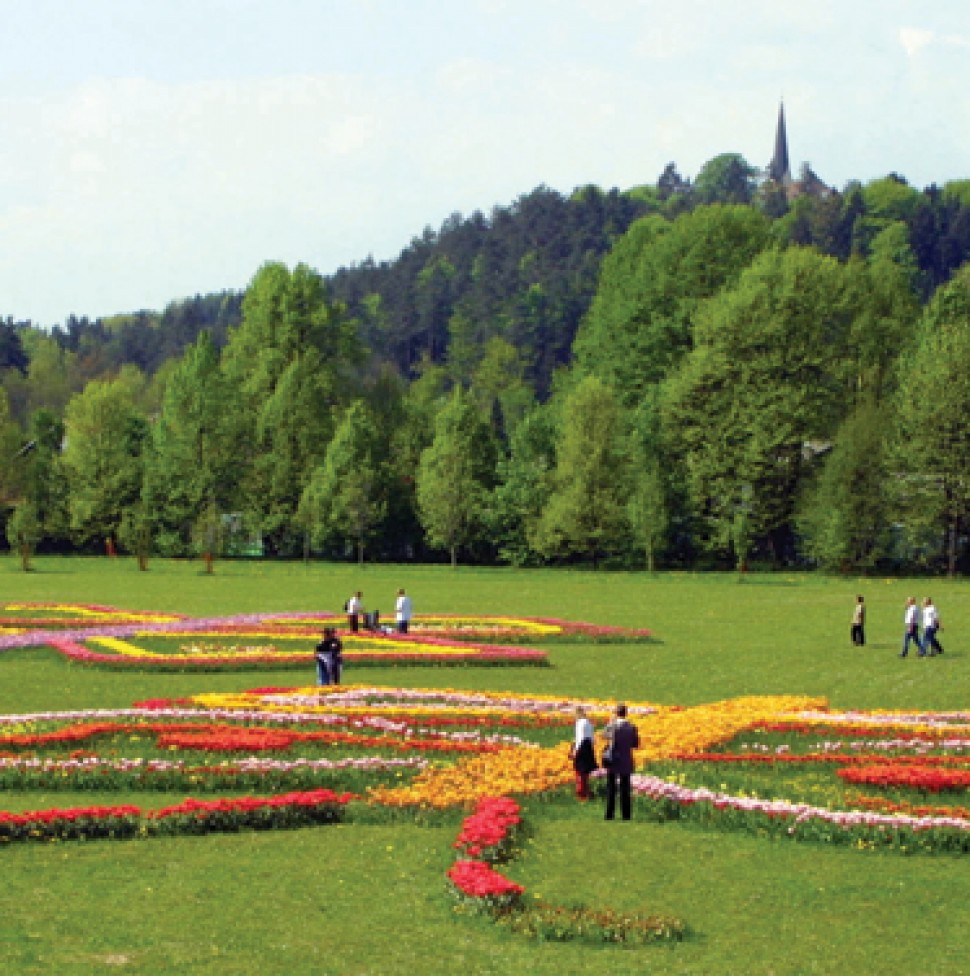 Arboretum Volcji  potok