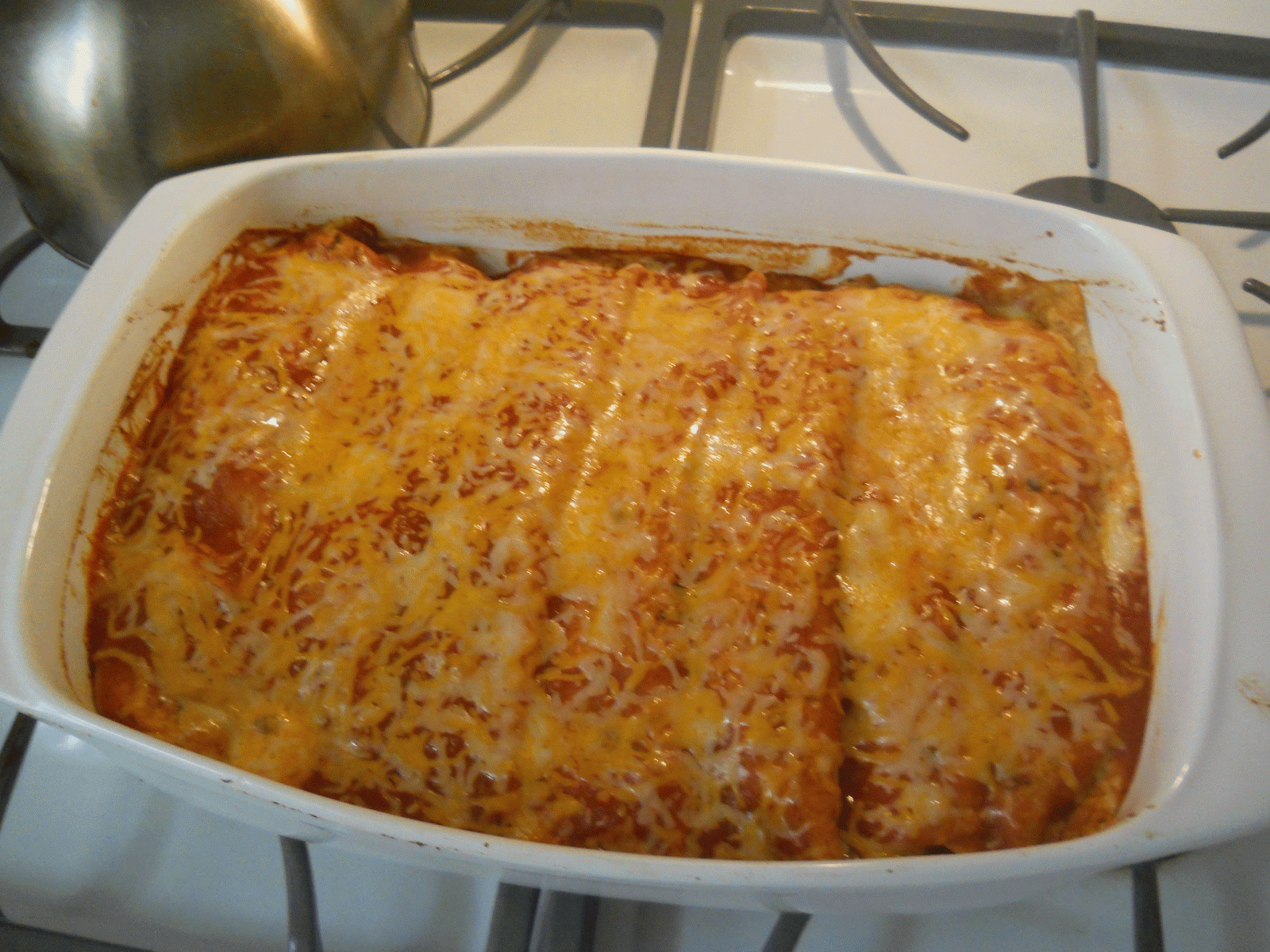 animals at the table simple pulled pork enchiladas a tutorial animals at the table simple pulled pork enchiladas a tutorial