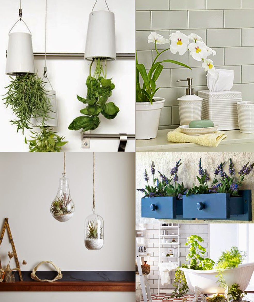 BADEBANYO: Las PLANTAS ideales para el BAÑO
