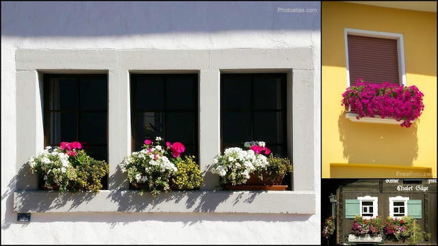 Window boxes as Garden Decor