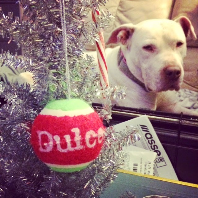 Santa Cruz Dogs DIY Tennis Ball ornament!