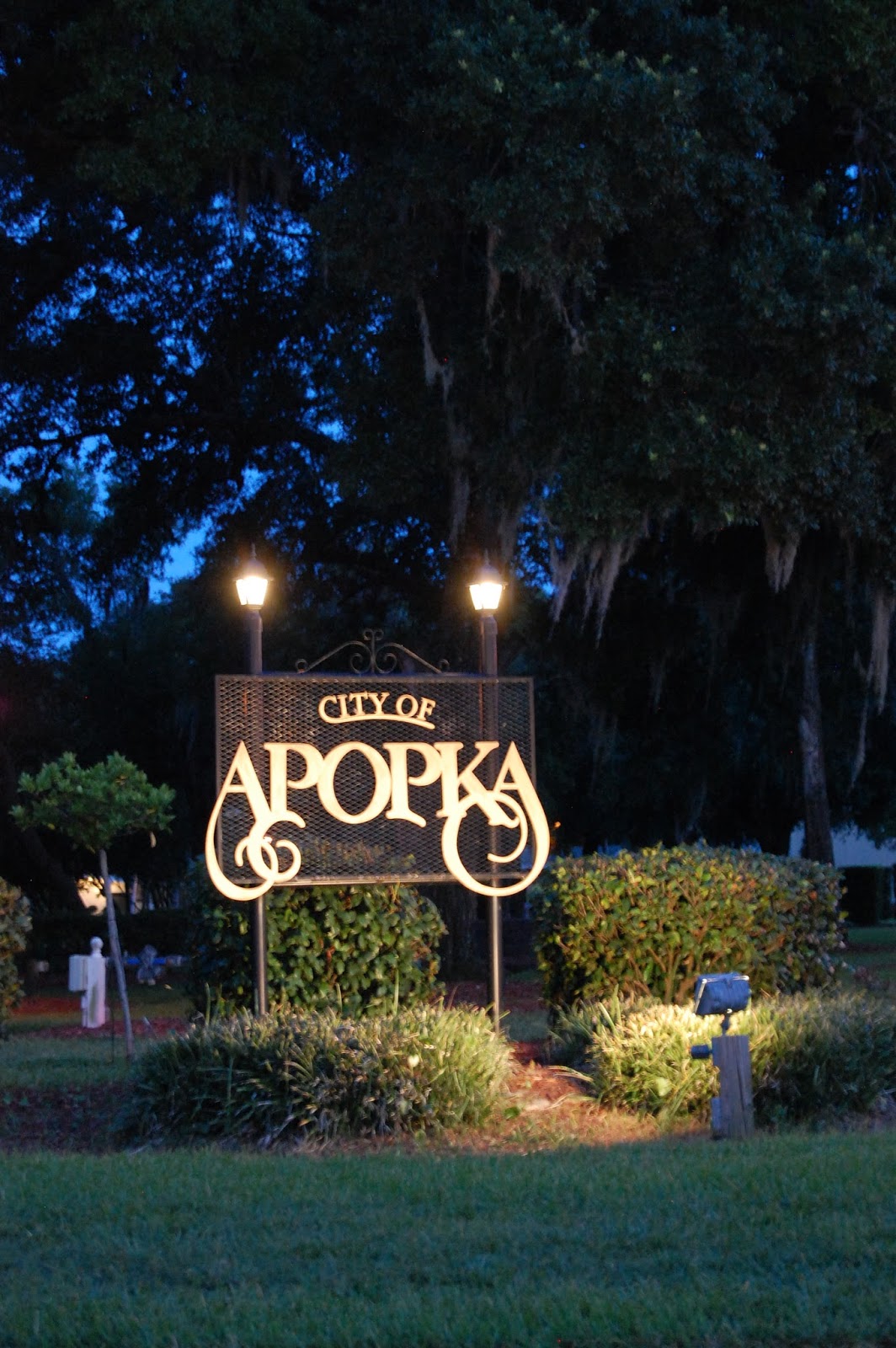 Apartment 203 Apopka, Florida in Photographs