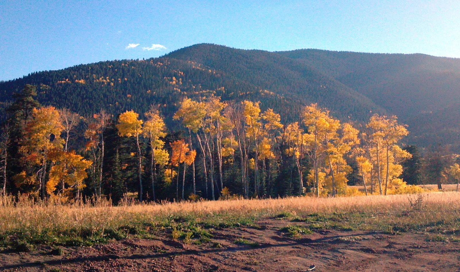 San Isabel Fall 2012 Photo Tour (Aspen, Colorado City homes, live