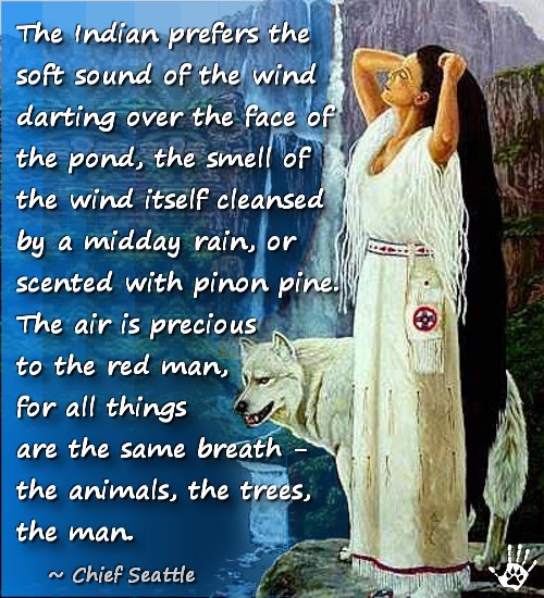 Bards and Tales Native American Sages