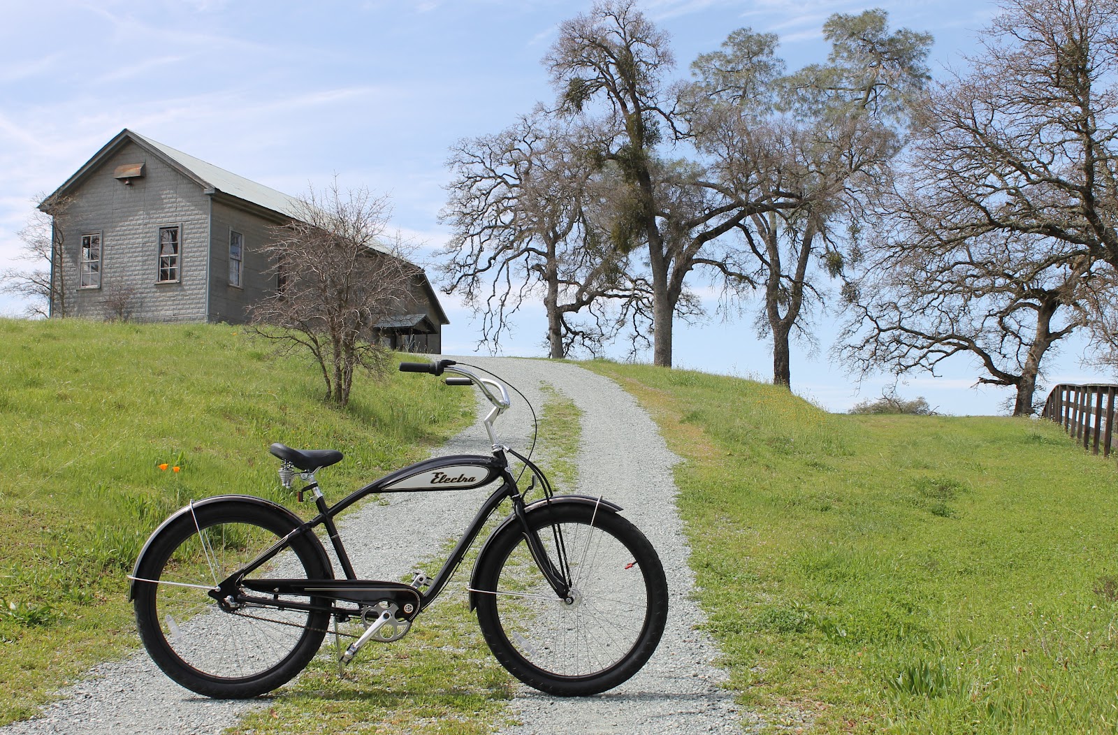 electra amsterdam bike for sale