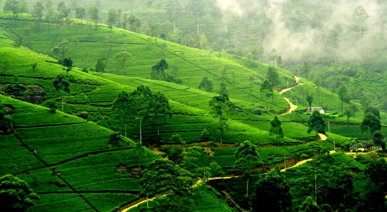 Hd Sri Lanka Wallpaper HD Wallpapers Hd Sri Lanka Wallpaper HD Wallpapers