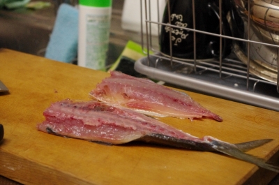 20110212-20110211_010.jpg