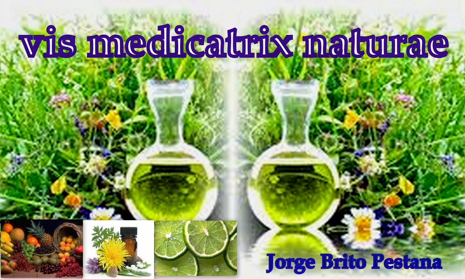 Naturopatia