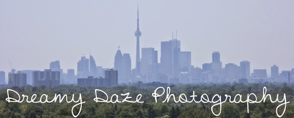 Dreamy Daze Photography