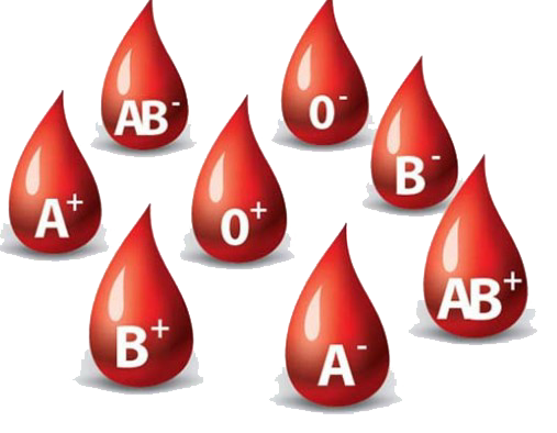 Importance of Blood Donation