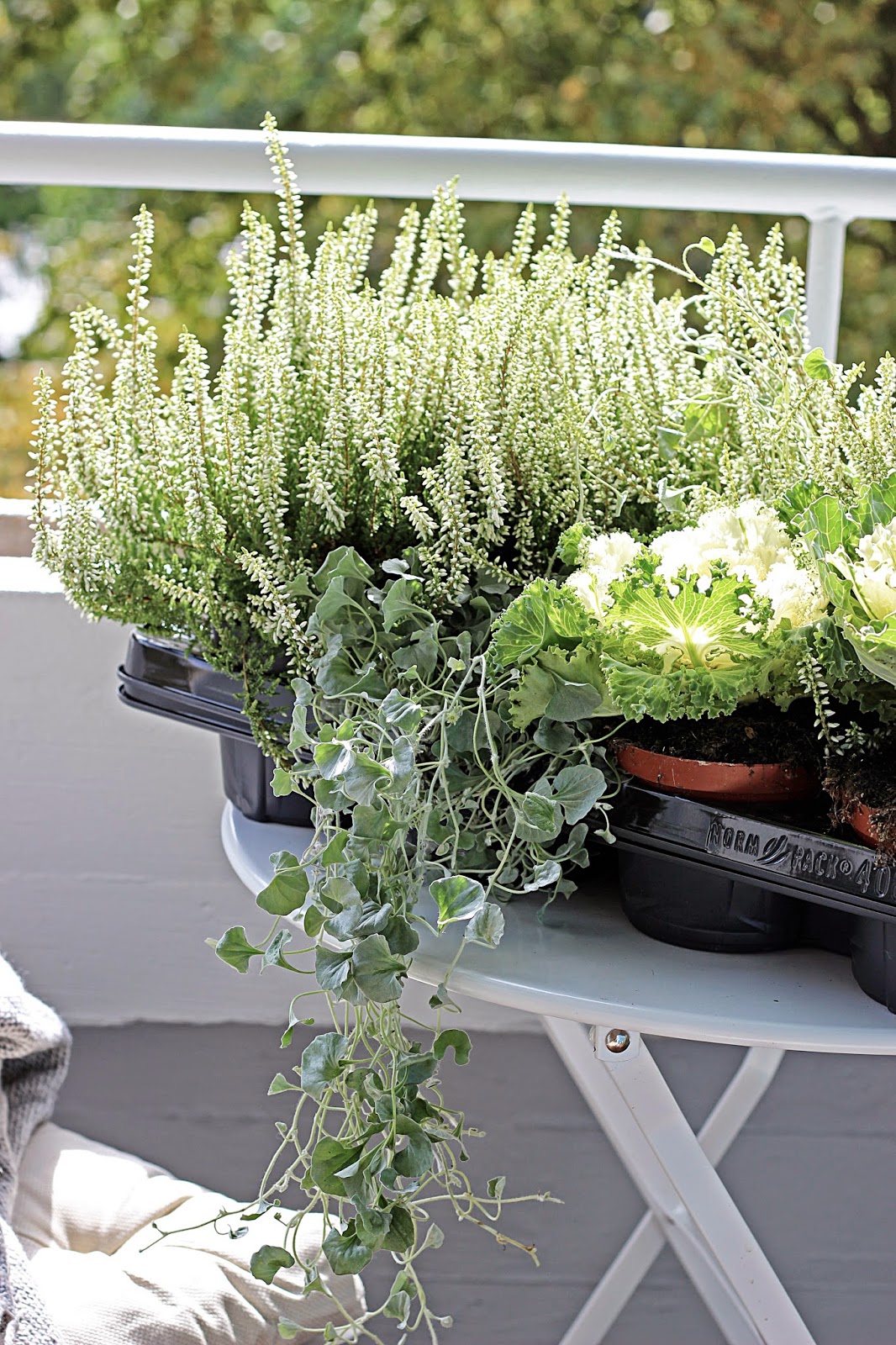 Scandinavian love song: preparing for autumn