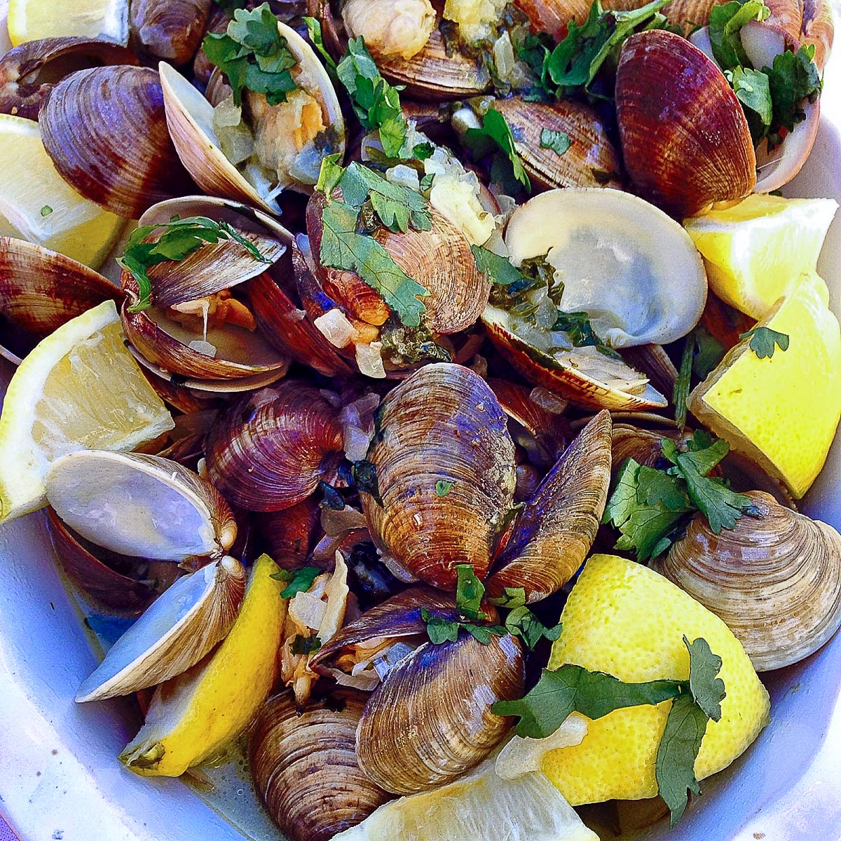 The Yum Yum Factor My Blogger Went to Portugal and All We Got Were