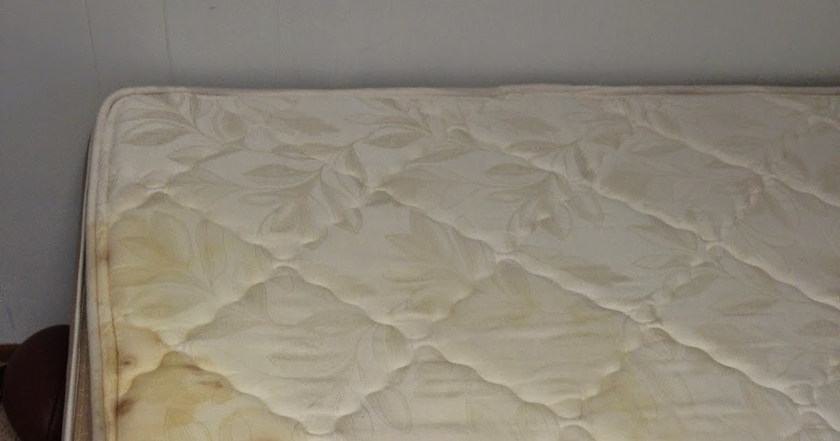 Love Always, Denise How to get a pee stain out of a mattress